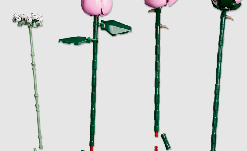 Bukiet różowych róż - 9