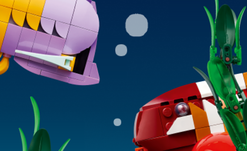 Tropikalne akwarium - 3