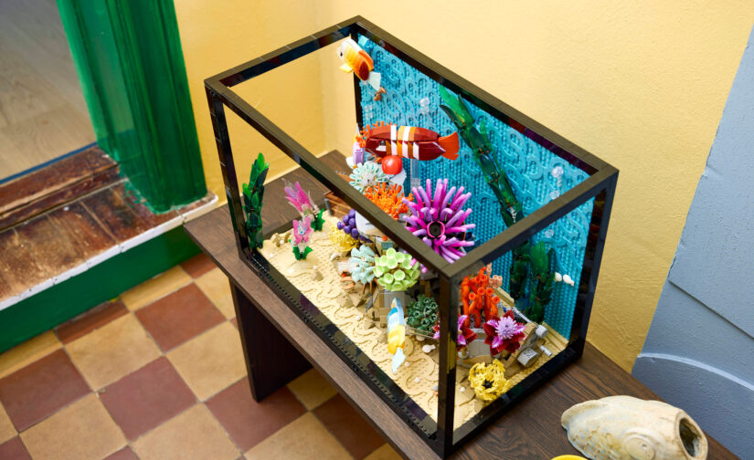 Tropikalne akwarium - 4