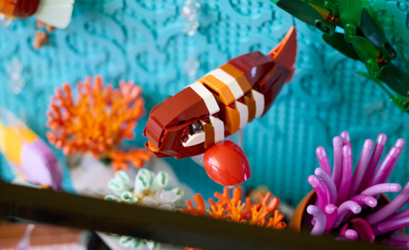 Tropikalne akwarium - 8