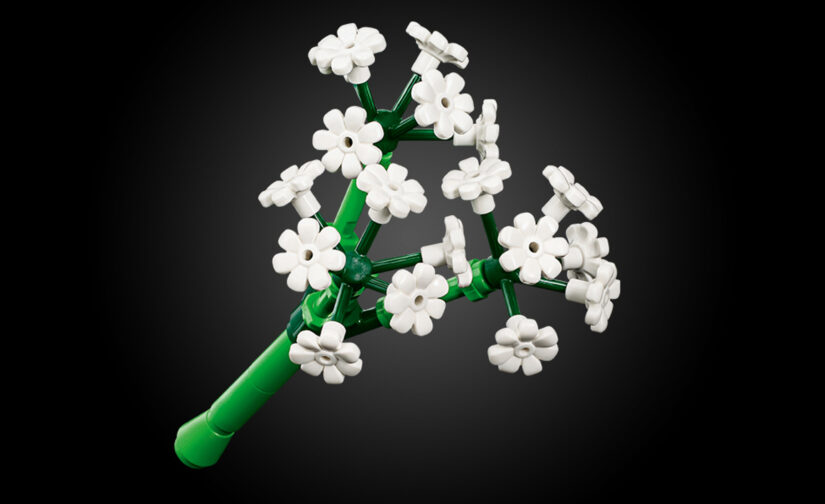 Kwiatowa kompozycja - 1