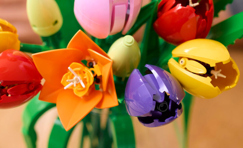 Bukiet tulipanów - 4