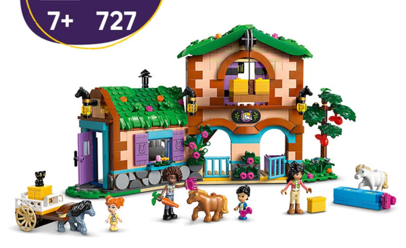 Ranczo kucyków i stajnia - 1