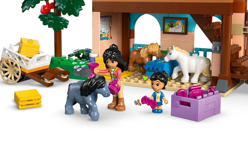 Ranczo kucyków i stajnia - 8