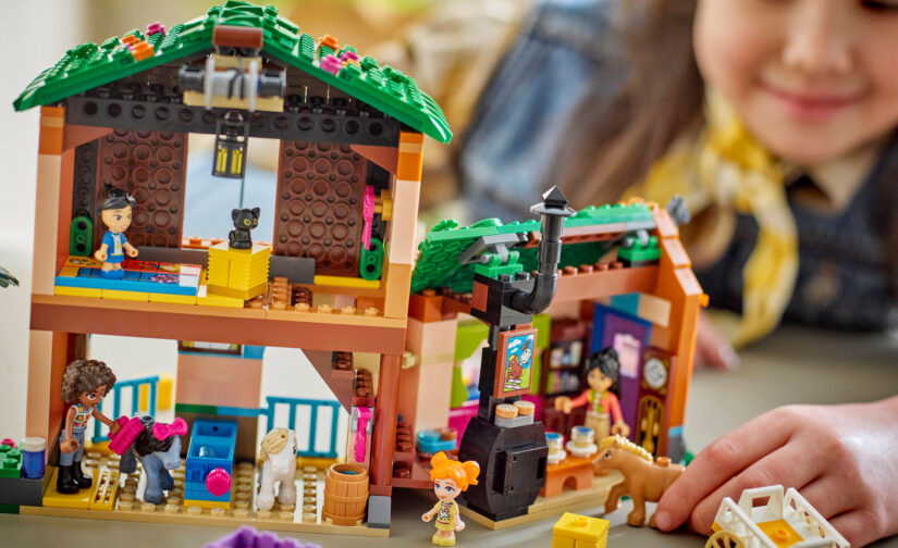 Ranczo kucyków i stajnia - 9