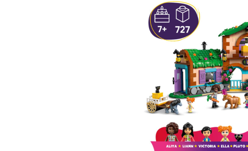 Ranczo kucyków i stajnia - 10