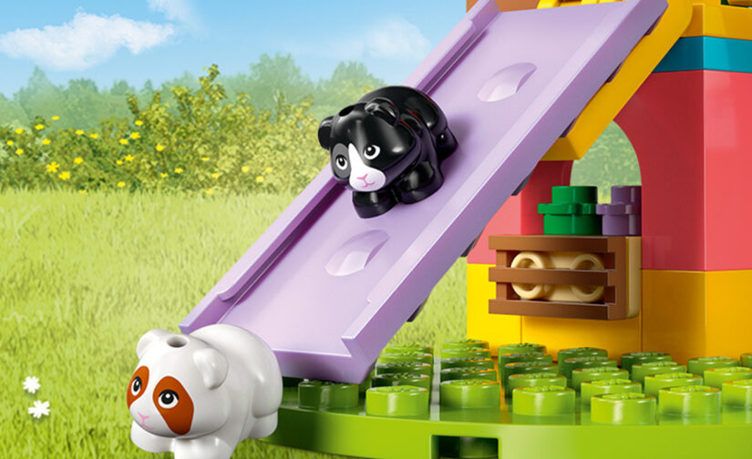 Plac zabaw dla świnek morskich - 5