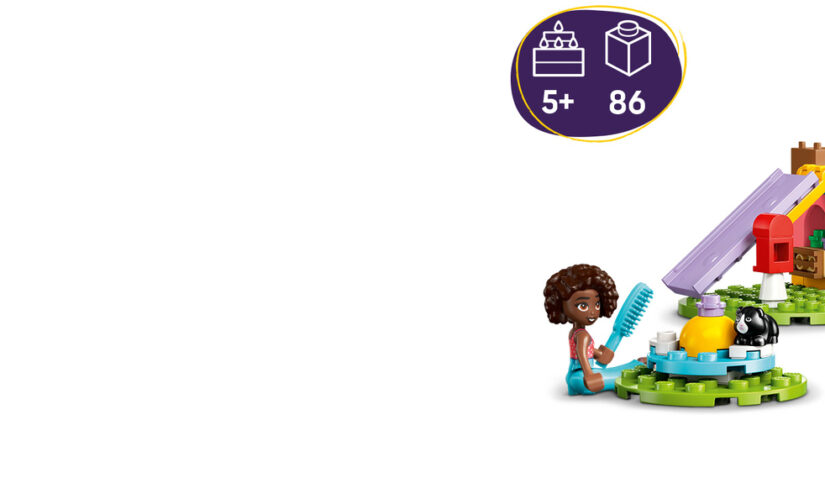 Plac zabaw dla świnek morskich - 6