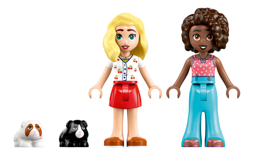 Plac zabaw dla świnek morskich - 8